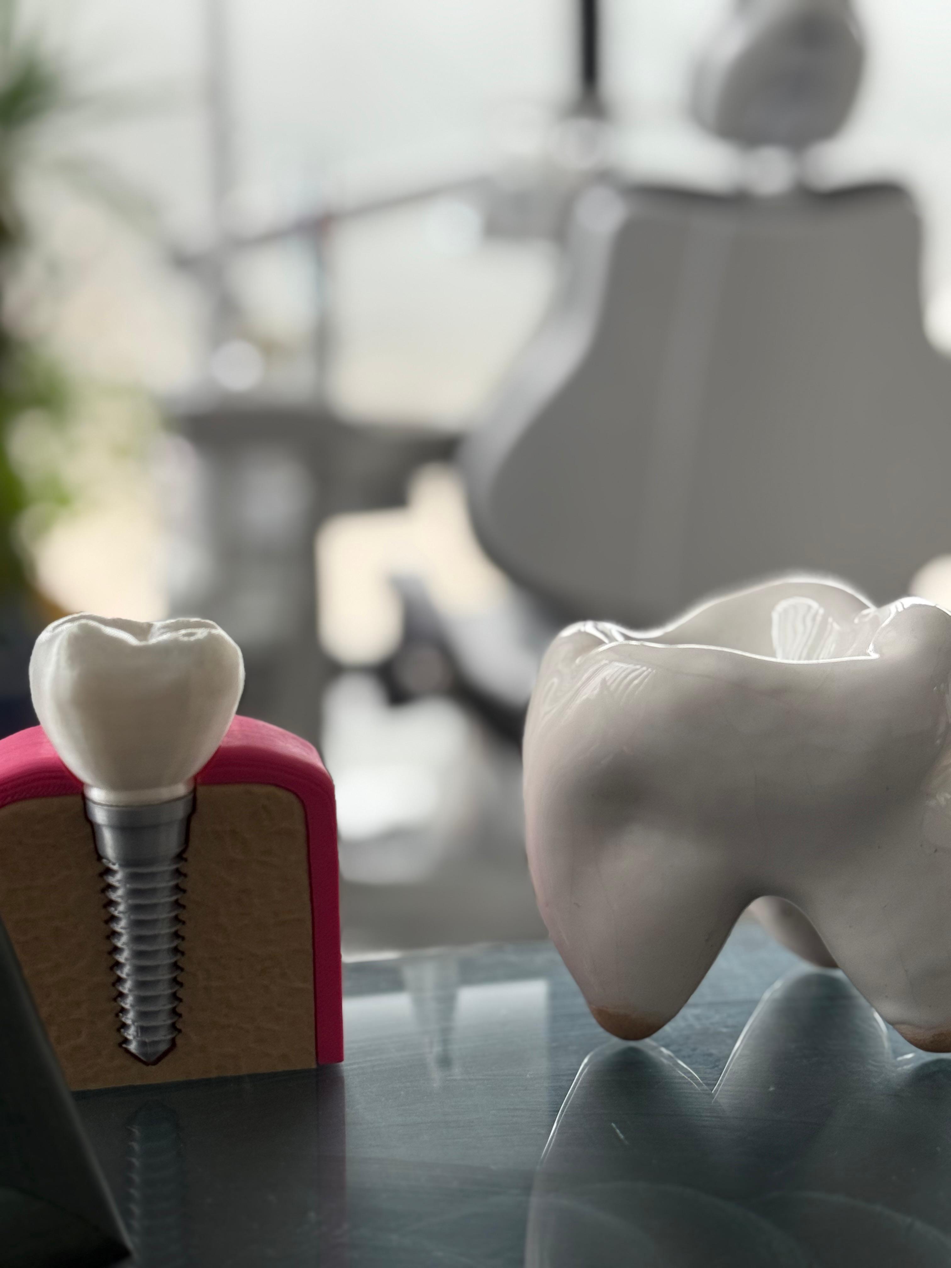 Dent Sekiz Eylül - Klinik Görüntüsü 1