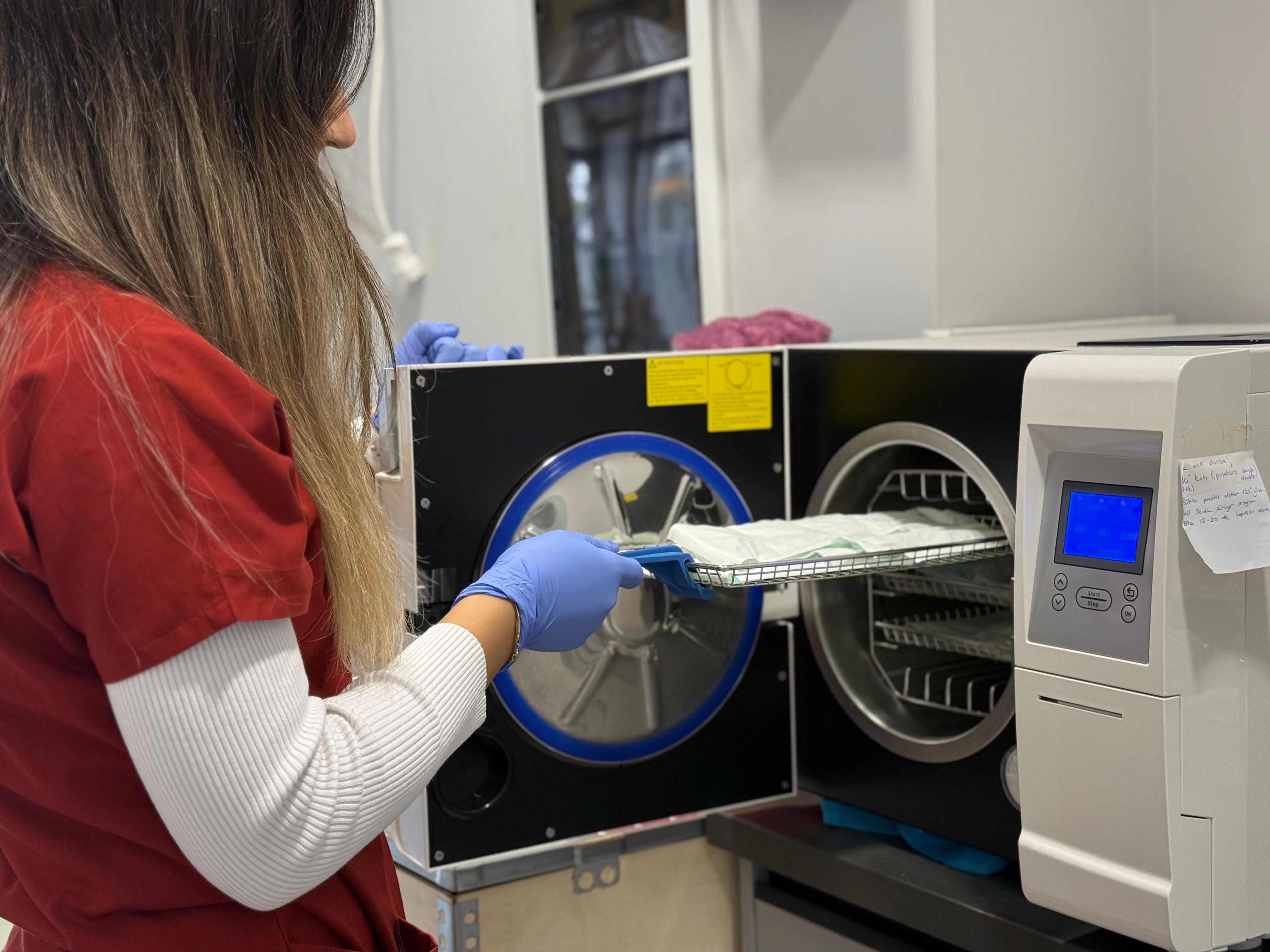 Dent Sekiz Eylül - Klinik Görüntüsü 16