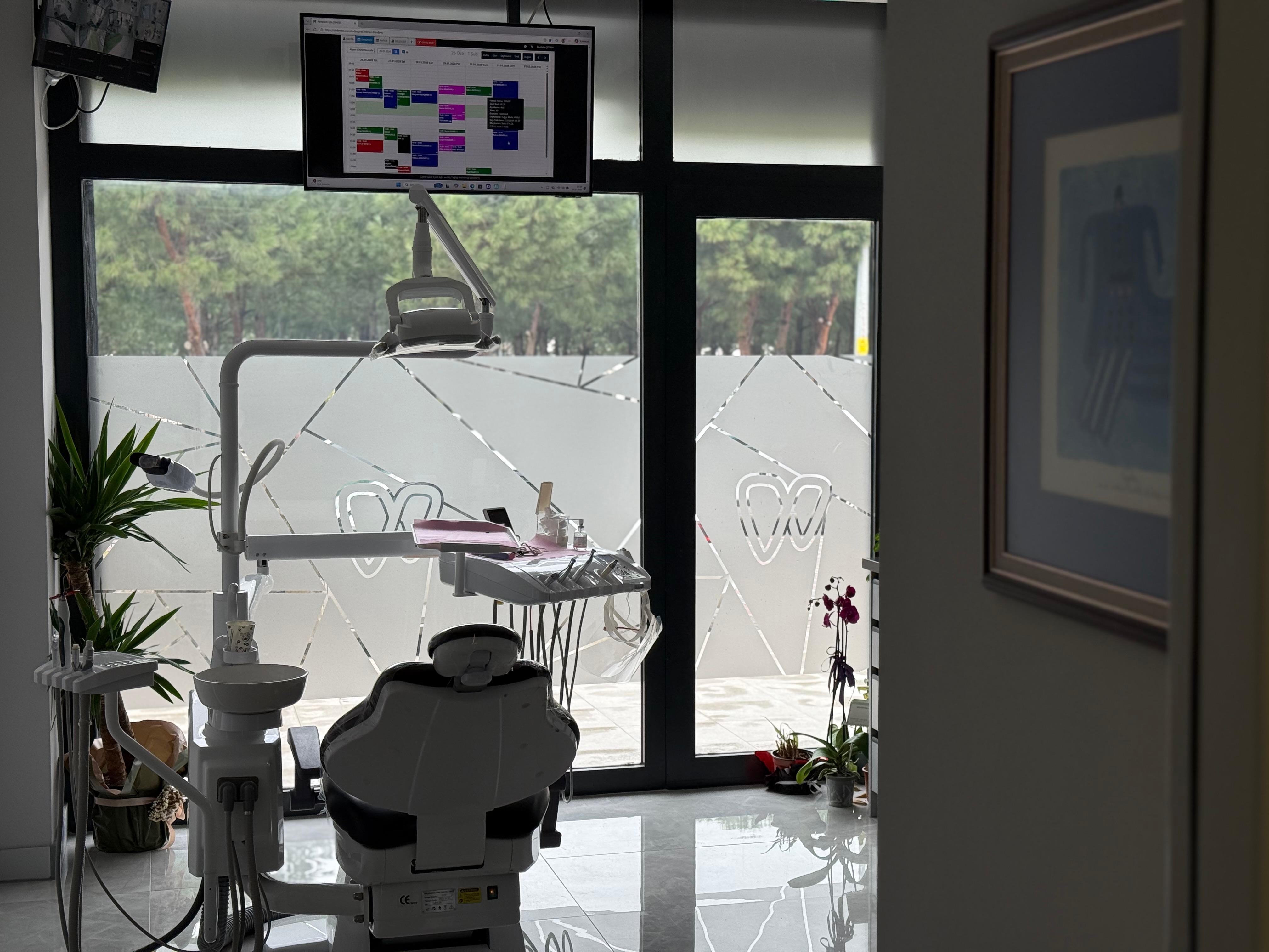 Dent Sekiz Eylül - Klinik Görüntüsü 17